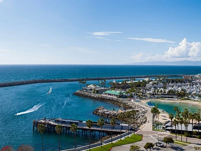 A view of a marina with boats, palm trees, and a sandy beach by the ocean under a blue sky.
