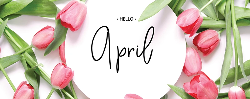 Pink tulips surrounding text that reads “Hello April”
